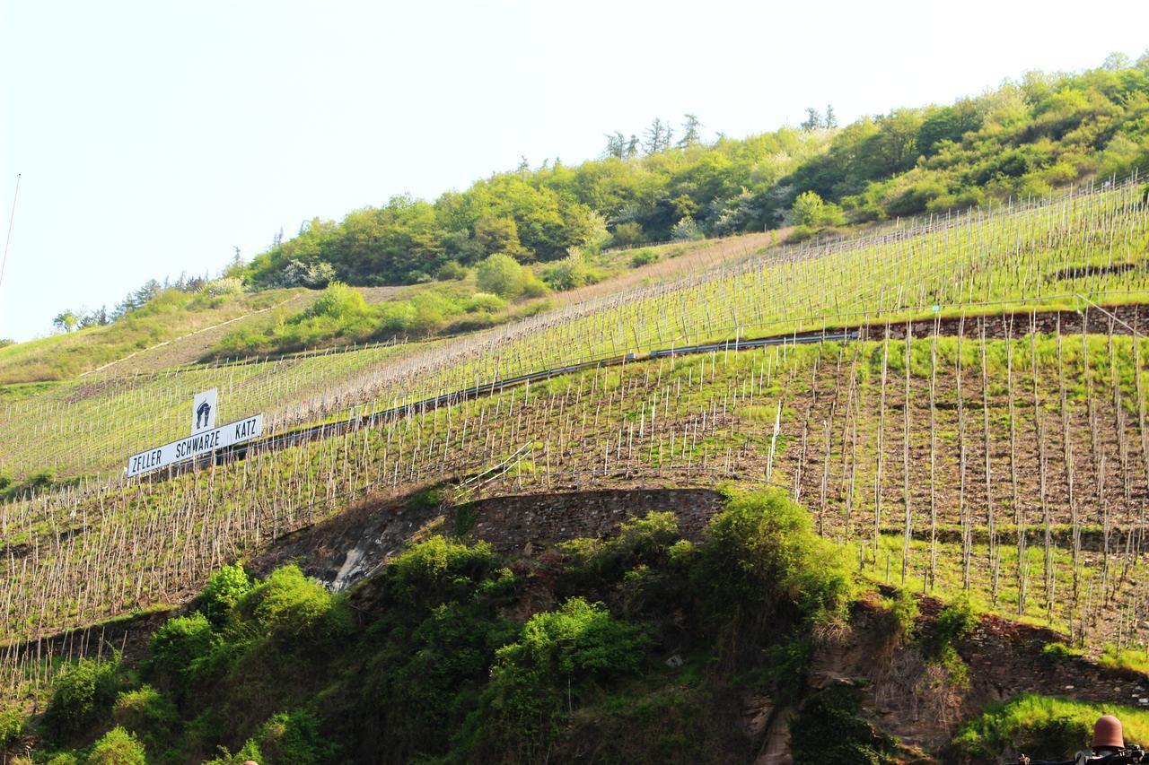 Pension Adelheid Moselhype&Wine Zell an der Mosel Eksteriør bilde
